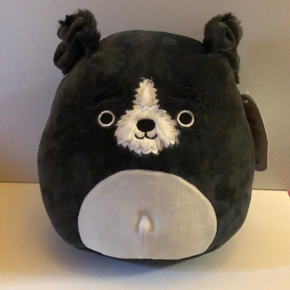 Squishmallow Paulie the Black Dog 8” NWT